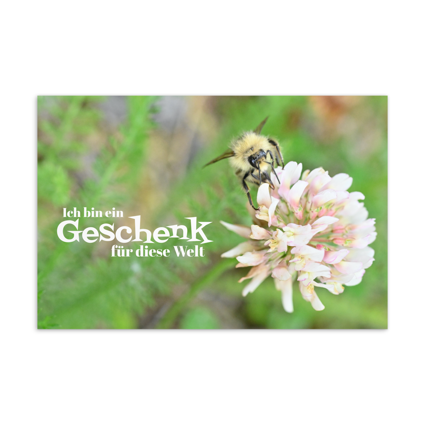 Postkarte - Ich bin ein Geschenk