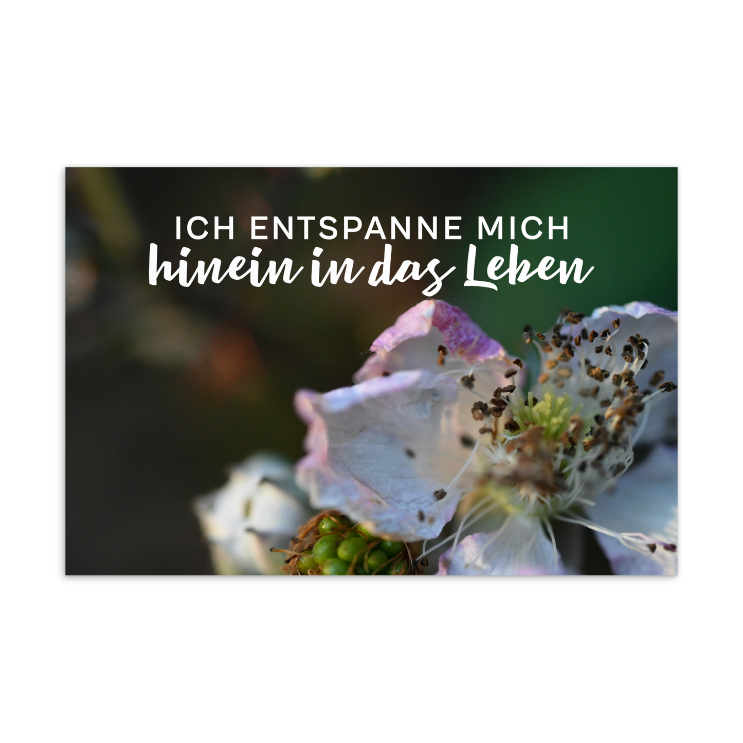 Postkarte - ich entspanne mich