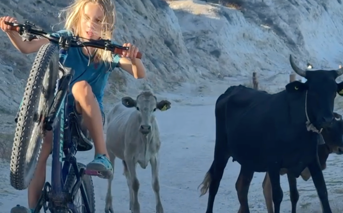 Training Day – und was echtes Training mit Entfaltungszeit zu tun hat