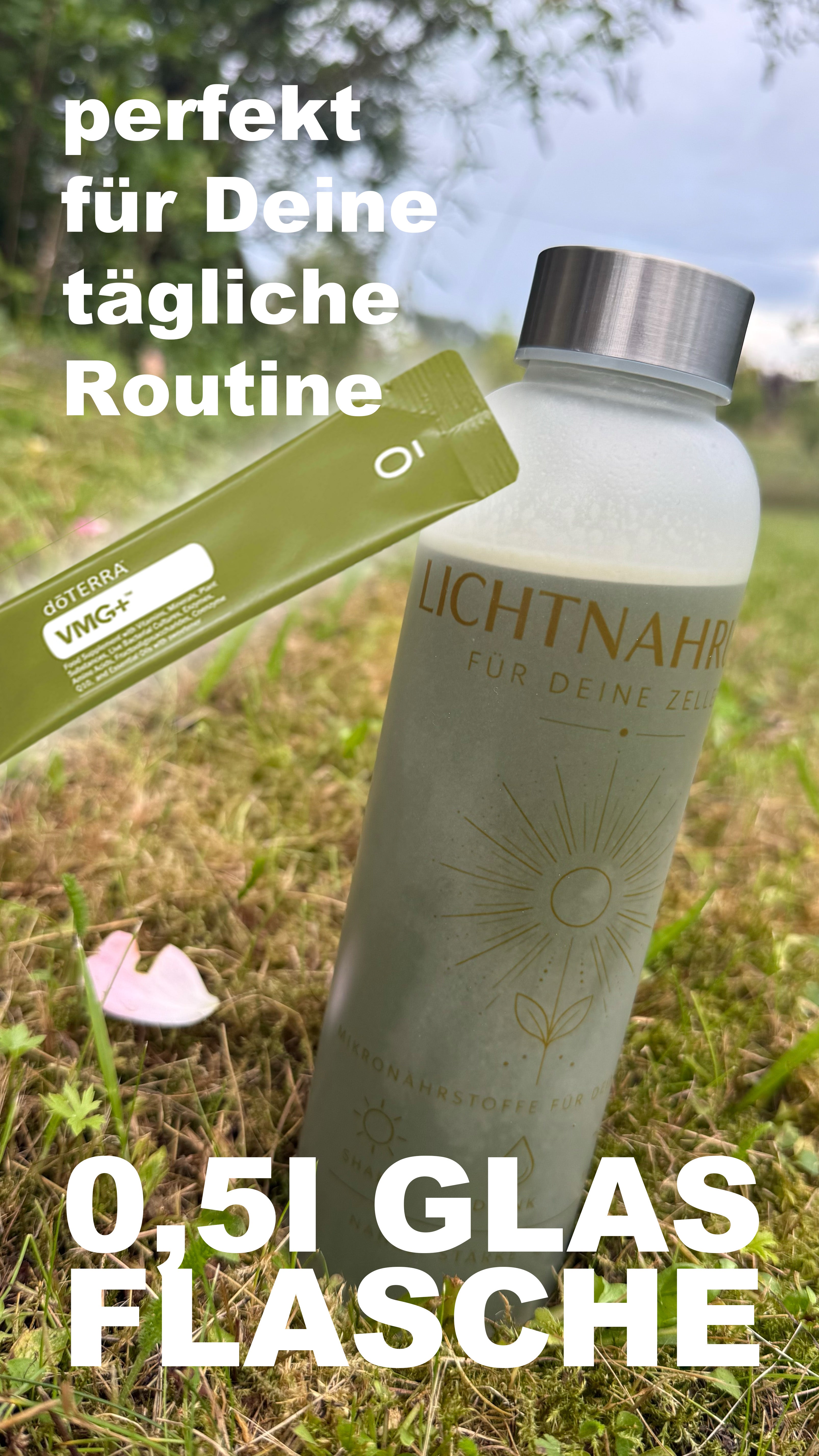 Lichtnahrung - Glasflasche 0,5l