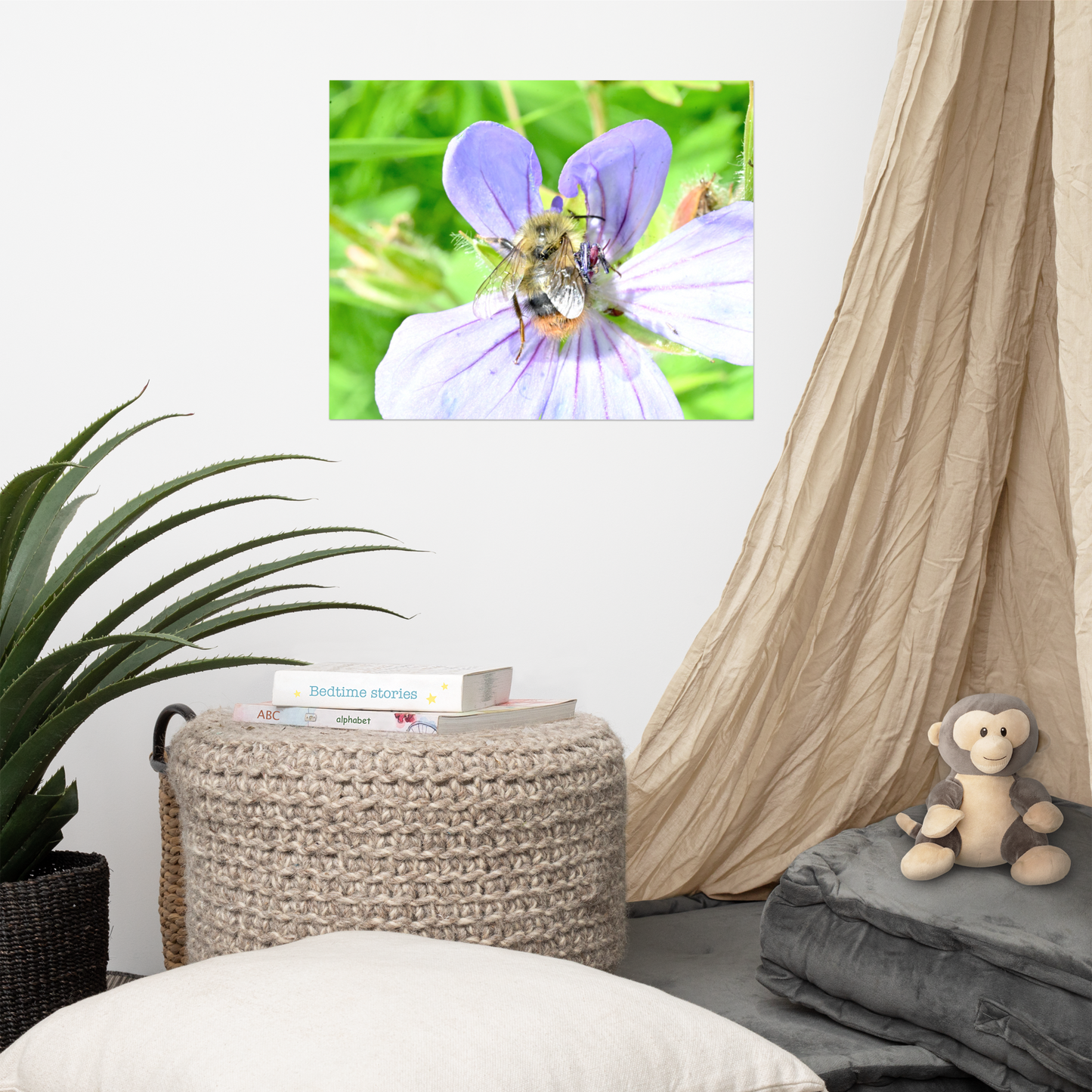 Poster - Storchenschnabel 1