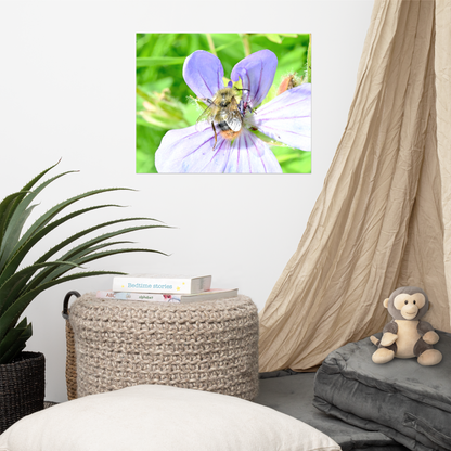 Poster - Storchenschnabel 1