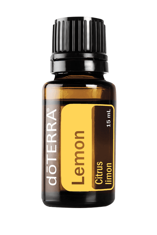 Lemon (Zitrone, Citrus limon)